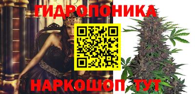 скорость Будённовск