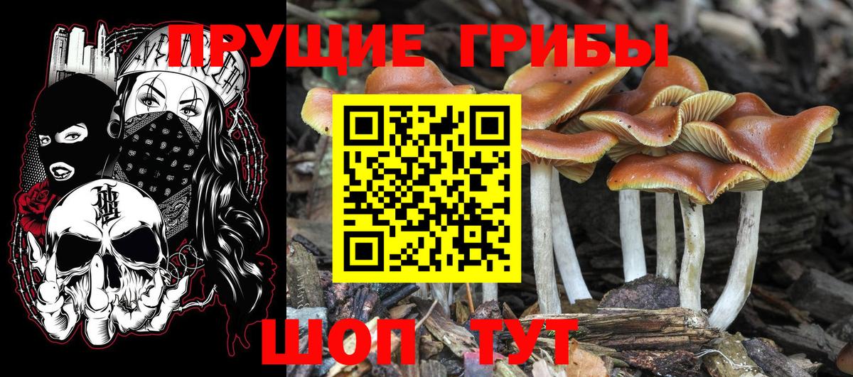 Мыски  хочу   Вход с VPN  Галлюциногенные грибы мицелий  Псилоцибиновые грибы прущие грибы 